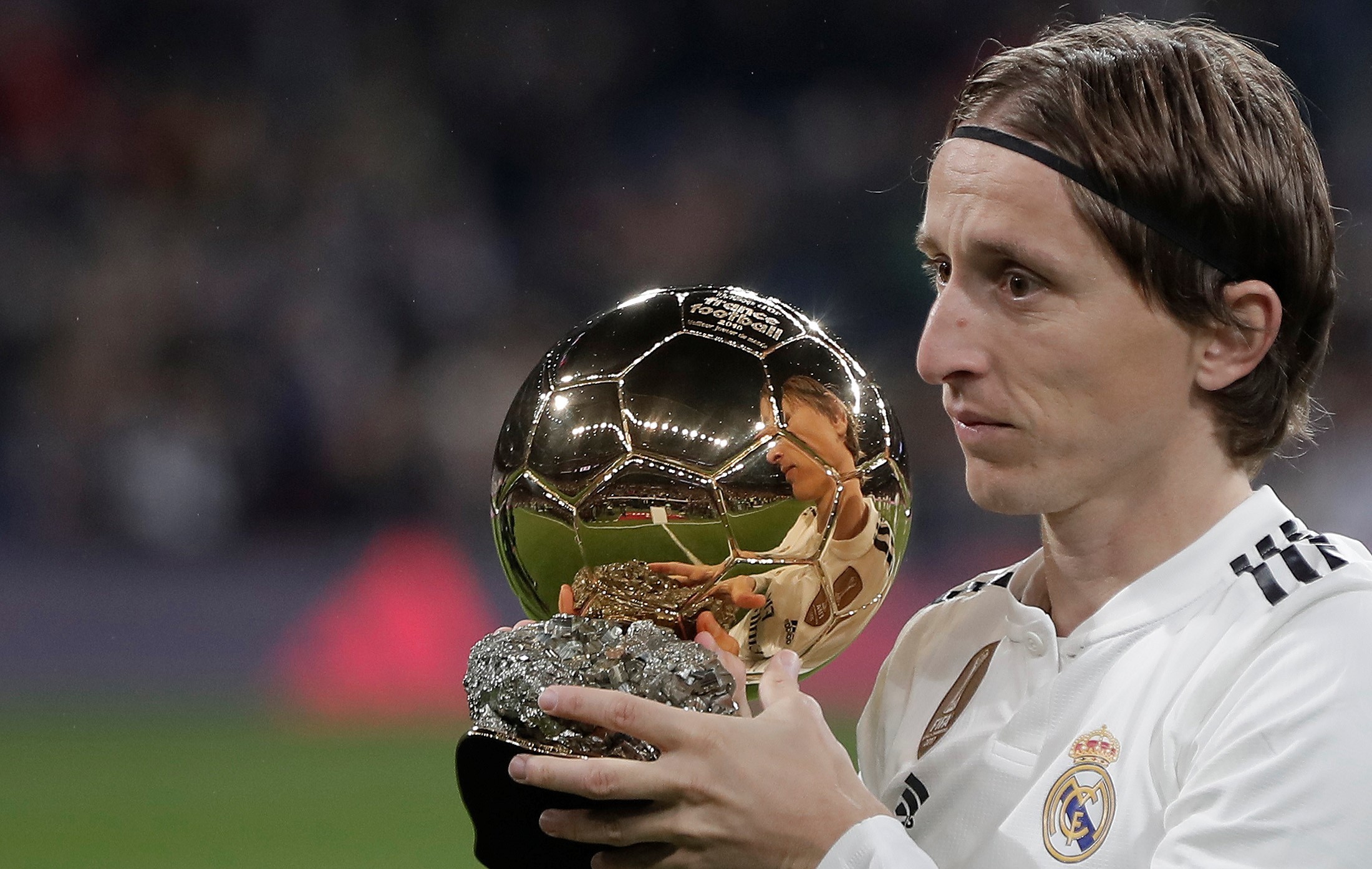 博彩公司宠物友好办公室政策